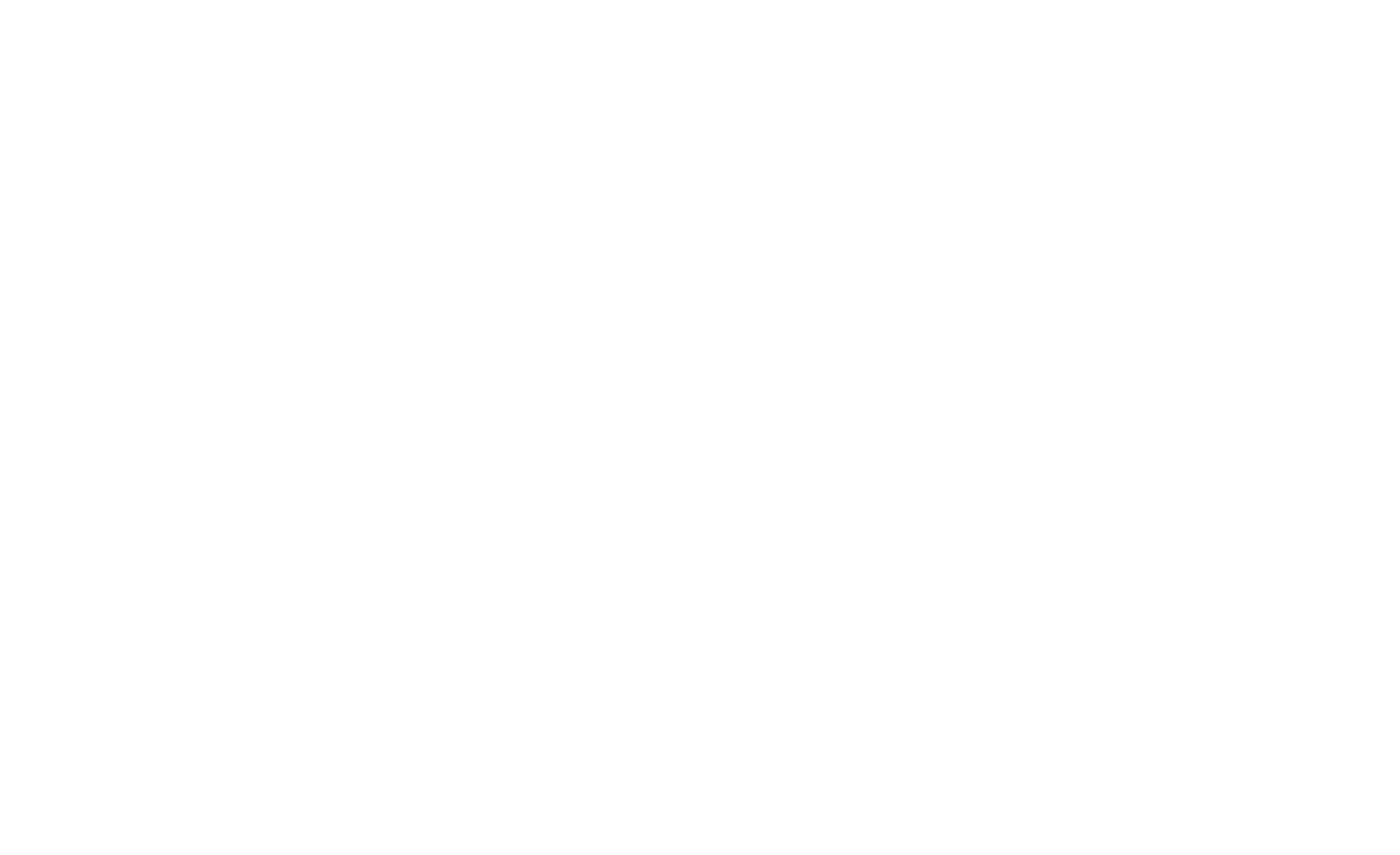 Bornan Sports Technology logo